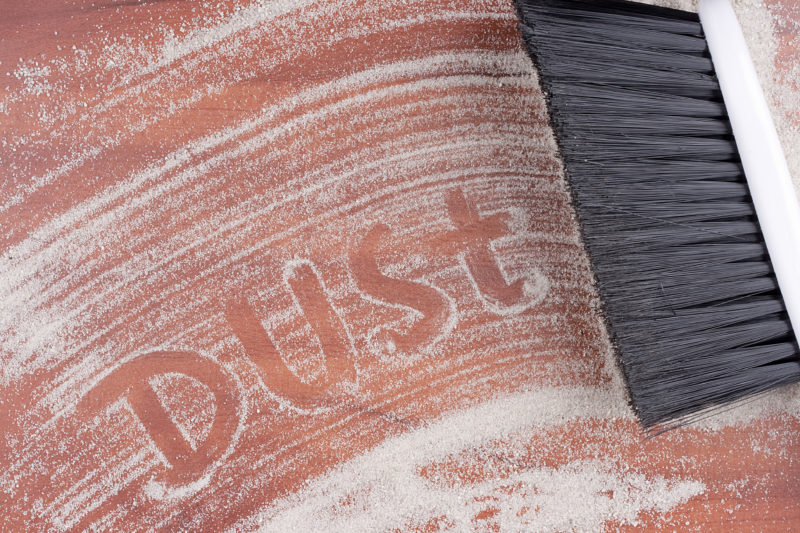 Battle Both Dust and Dust Mites With an Air Purifier